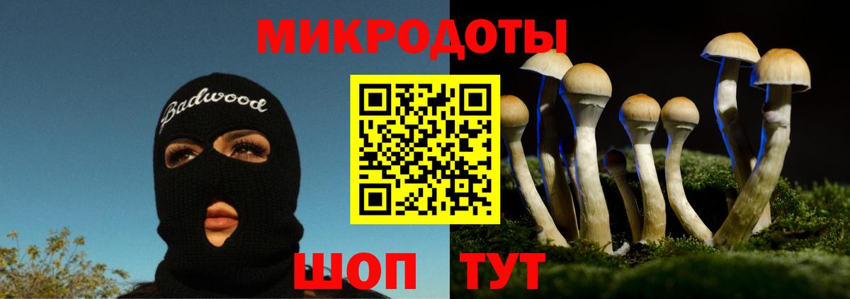 Псилоцибиновые грибы MAGIC MUSHROOMS Тихвин